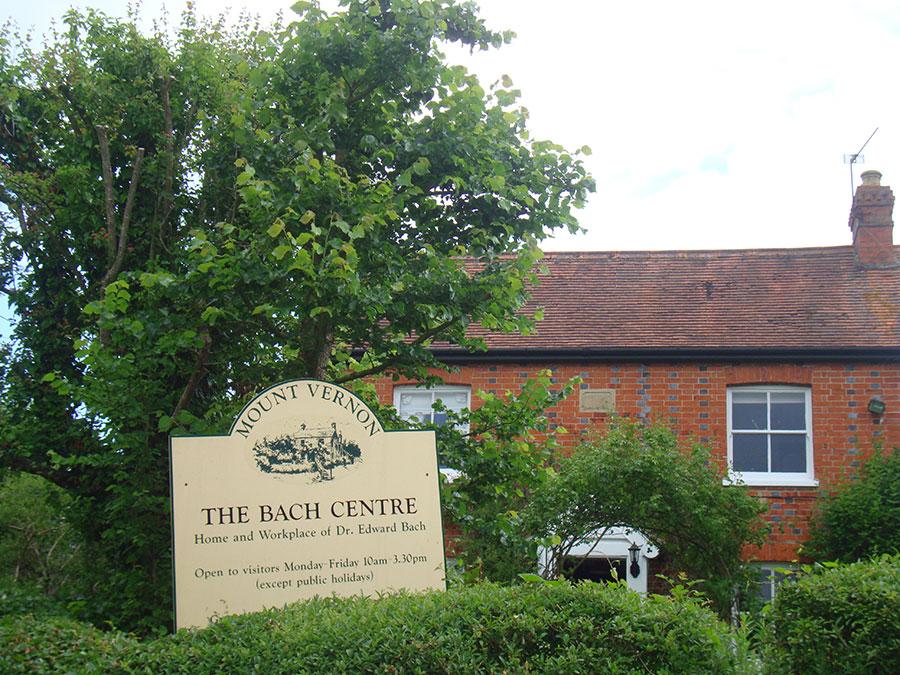 Dr. Bach – Biografia